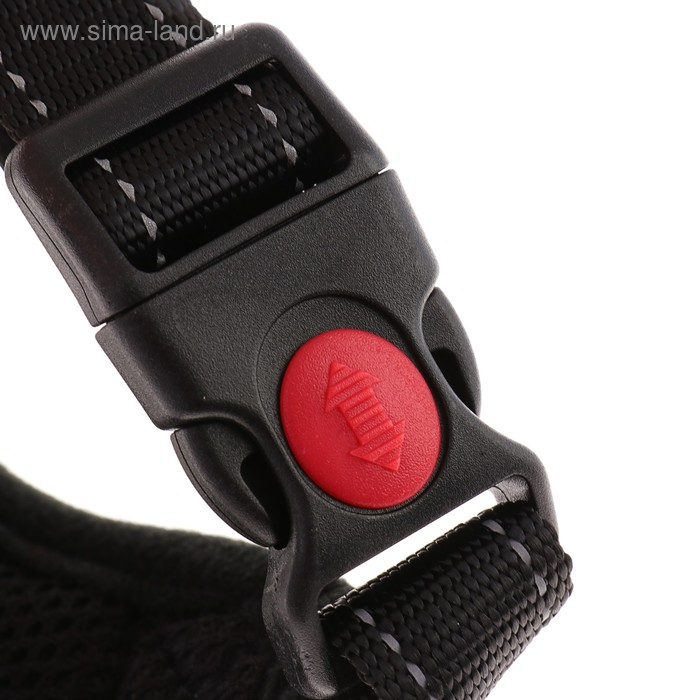 Шлейка К7 мягкая светоотражающая, размер М, ОГ 52-66 см, вес 9,5-17,5 кг, фиолетовая Шлейка К7 мягкая светоотражающая, размер М, ОГ 52-66 см, вес 9,5-17,5 кг, фиолетовая