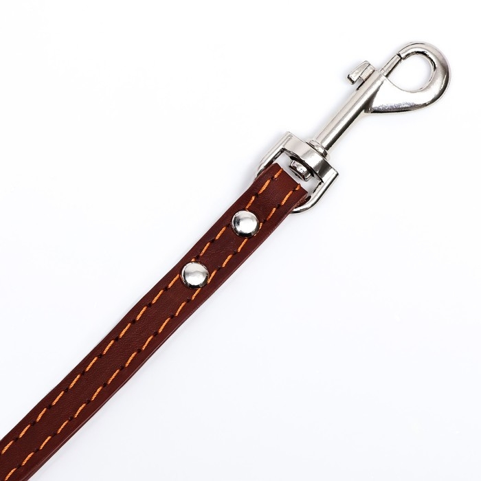 Поводок кожаный однослойный, простроченный, 1.47 м х 1.2 см, коричневый Поводок кожаный однослойный, простроченный, 1.47 м х 1.2 см, коричневый