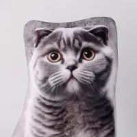 Антистресс игрушка, кот &laquo;Шотландец&raquo;