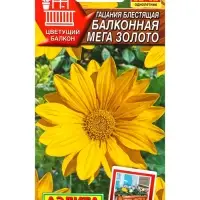 Семена цветов Гацания Балконная мега золото  Цветущий балкон, Ц/П,4 шт.