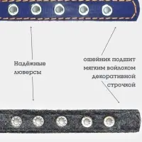 Ошейник, 35&times;1.5 см, подклад из ватина, кожа, синий