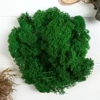 Мох декоративный стабилизированный &laquo;Зелёный&raquo; 45 г (&plusmn;5 г).