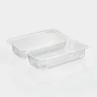Контейнер одноразовый с неразъёмной крышкой, пластик, 24&times;12.9&times;8.9 см, внутр. 21.3&times;9.9&times;7.8 см, прозрачный