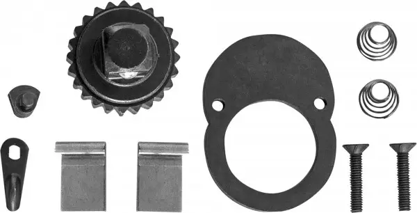 T04250-RK Ремонтный комплект для динамометрического ключа Т04M250 (48493)