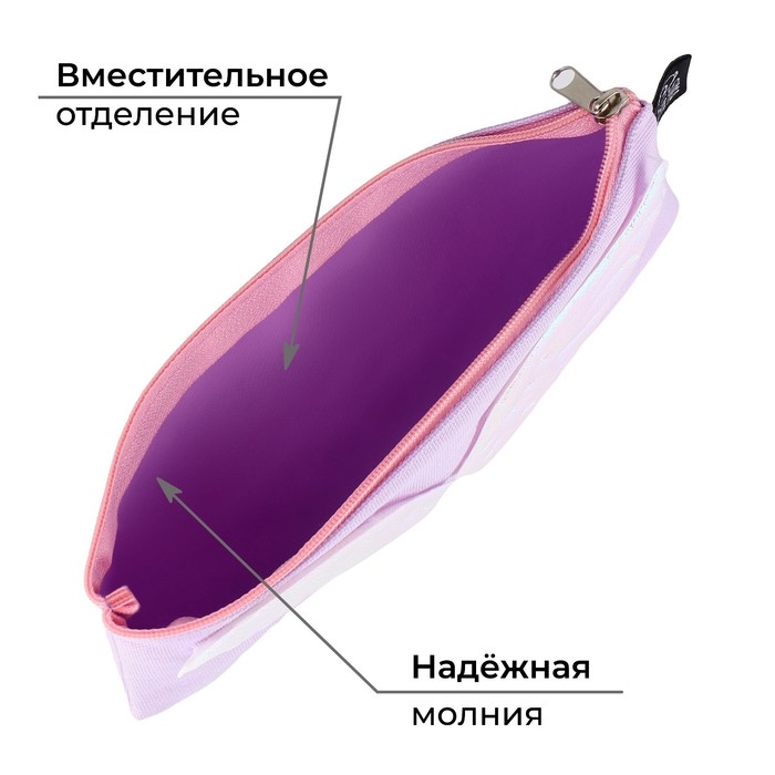 Пенал школьный текстильный «С крыльями», 21×10 см Пенал школьный текстильный «С крыльями», 21×10 см