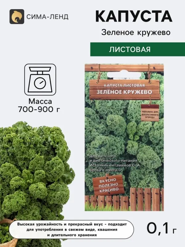 Семена Капуста листовая &laquo;Зелёное кружево&raquo;, 0.1 г, &laquo;Поиск&raquo;