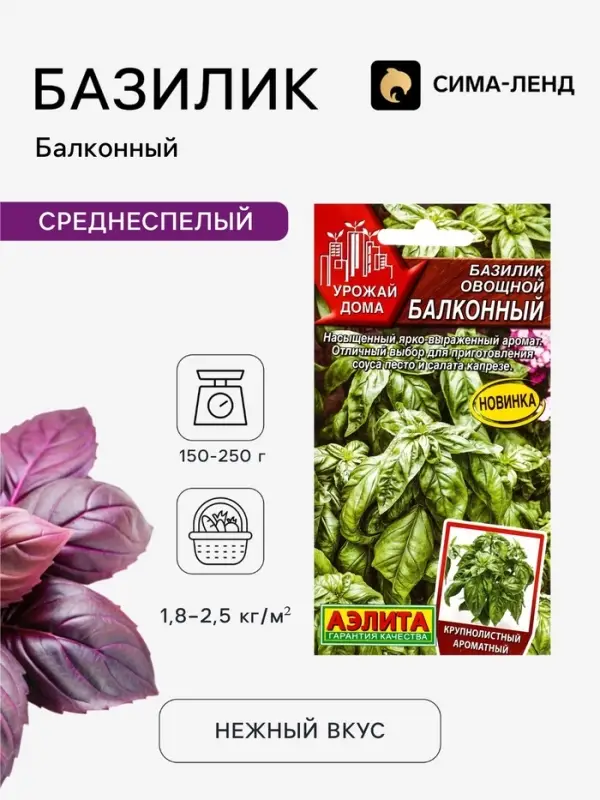 Семена Базилик овощной &laquo;Балконный&raquo;, 0.2 г, крупнолистный, &laquo;Аэлита&raquo;