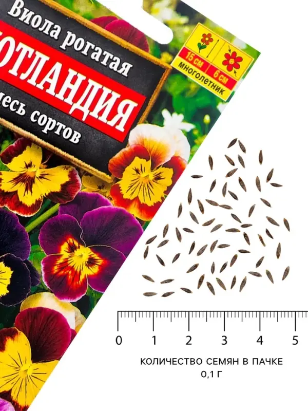 Семена цветов Виола "Шотландия", 0,1 г