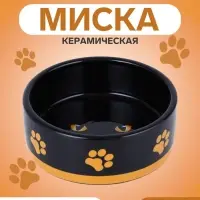 Миска &laquo;Черный кот&raquo;, 300 мл, 12.5&times;12.5&times;4.5 см, керамика, черная, жёлтая