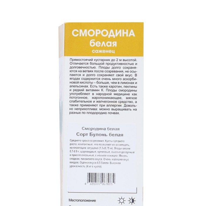 Смородина белая «Булонь белая», традиционные сорта, саженец, туба, 1 шт. Смородина белая «Булонь белая», традиционные сорта, саженец, туба, 1 шт.