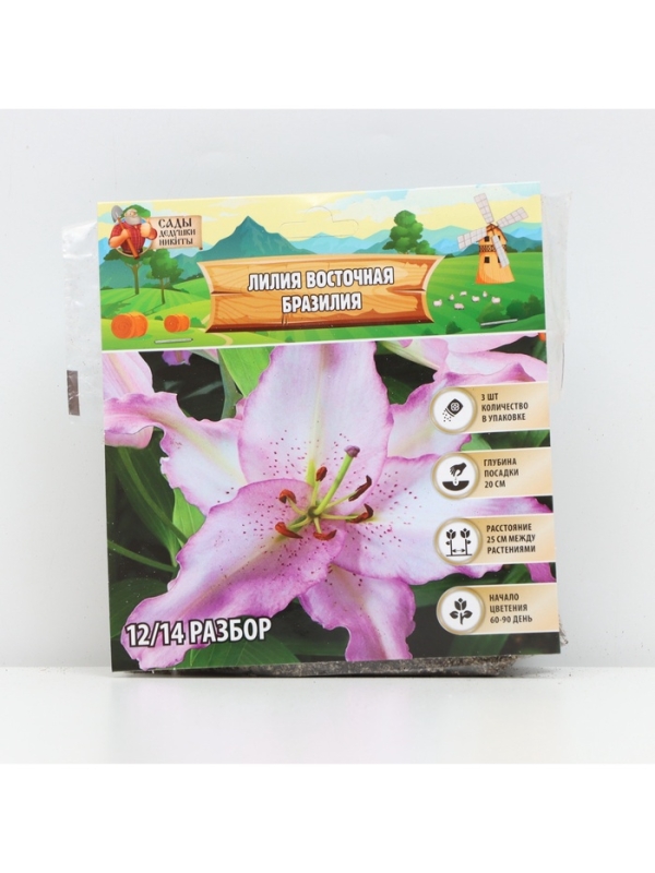 Лилия Восточная Brasilia, луковица в пакете с перфорацией, р-р 12/14, 3 шт.