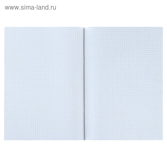 Тетрадь А4, 96 листов в клетку Calligrata Тетрадь А4, 96 листов в клетку Calligrata "Однотонная", обложка мелованный картон, блок №2, белизна 75%, синяя, (серые листы)