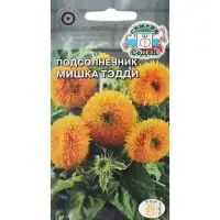 Семена цветов Подсолнечник "Мишка Тэдди "F1 1 г Семена цветов Подсолнечник "Мишка Тэдди "F1 1 г