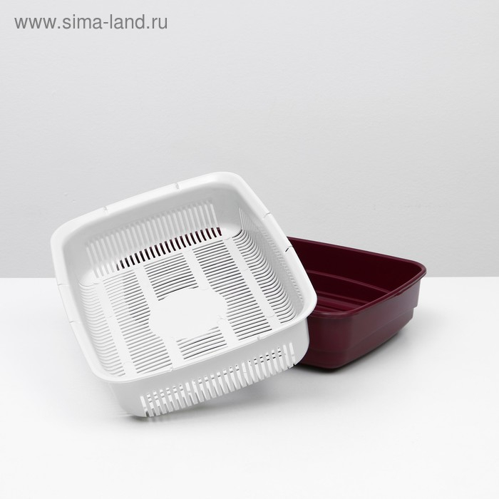 Лоток большой с сеткой Atlantis  Лоток большой с сеткой Atlantis "Стандарт", 42 х 31 х 10 см, красный,