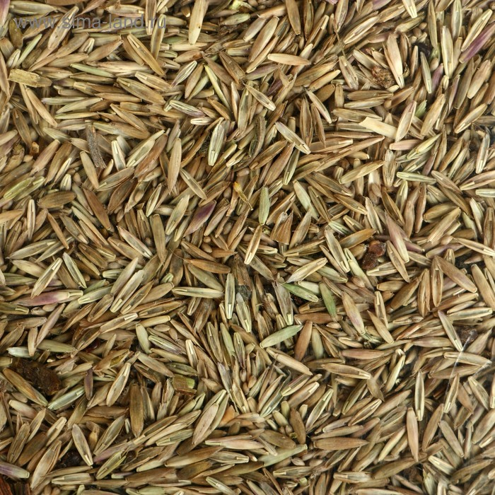 Газон Газон "Красотень", "Спортивный", 1 кг