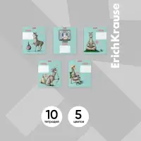 Тетрадь 24 листов в линейку, ErichKrause "Лама", обложка мелованный картон, блок офсет 100% белизна, МИКС