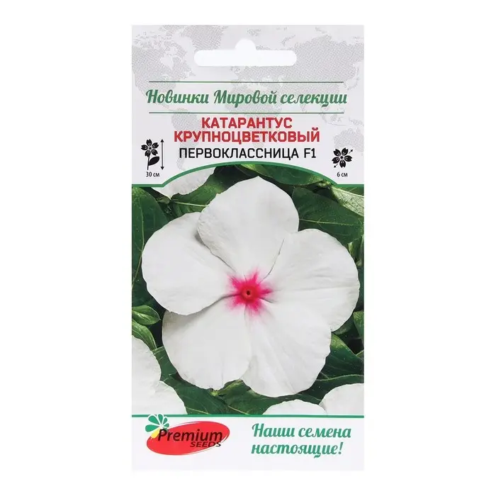 Семена Цветов Катарантус крупноцветковый Семена Цветов Катарантус крупноцветковый "Первоклассница F1", 5 шт.