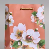 Пакет подарочный ламинированный &laquo;Гармония&raquo;, 11.5&times;14.5&times;6.5 см