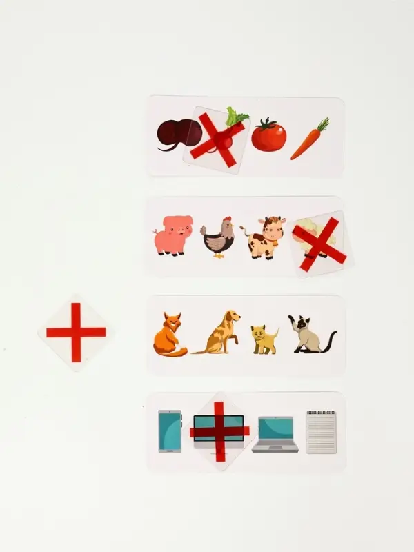 Развивающий набор &laquo;Логические ряды. Найди лишнее&raquo;, 3+