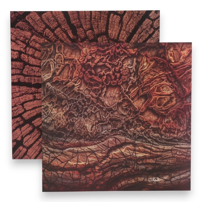 Фотофон двусторонний картон плотность 350 гр Фотофон двусторонний картон плотность 350 гр "Дерево" 50х50 см