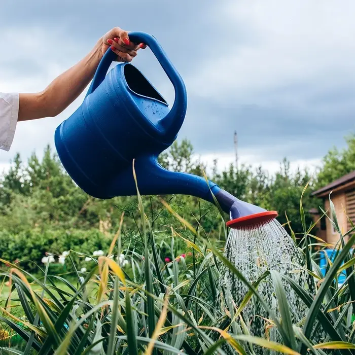 Лейка, 8 л, с рассеивателем, носик d=35 мм, цвет МИКС