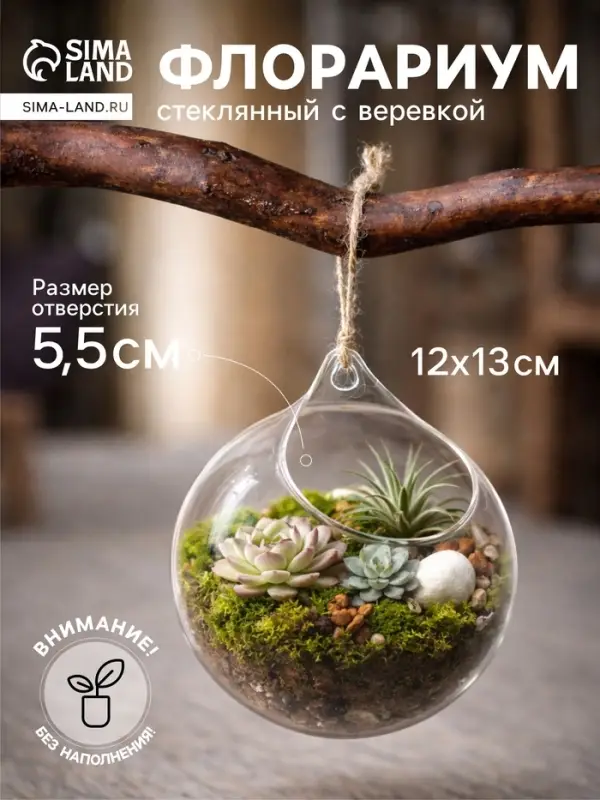 Флорариум &laquo;Шар капля&raquo;, с верёвкой, 12&times;12&times;13 см, стекло, прозрачный