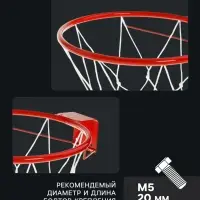 Корзина баскетбольная №5 &laquo;Люкс&raquo;, d=380 мм, с упором и сеткой