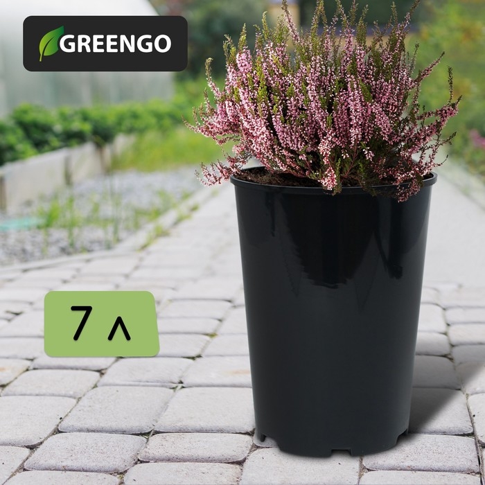Горшок для рассады, для роз, 7 л, d = 22 см, h = 26 см, чёрный, Greengo Горшок для рассады, для роз, 7 л, d = 22 см, h = 26 см, чёрный, Greengo