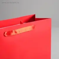 Пакет подарочный, упаковка, &laquo;Алый&raquo;, M 25.5&times;30&times;9 см, МИКС