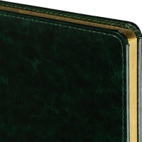 Ежедневник недатированный зелен,А5,145х205мм,136л, Sidney NEBRASKA 3-128/05