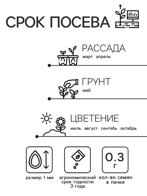 Семена  цветов Гелихризум "Зимний букет", смесь окрасок, О, 0,3 г