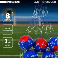 Сетка для переноски мячей, на 8 мячей, нить 3 мм, 1.1 м, бело-синяя