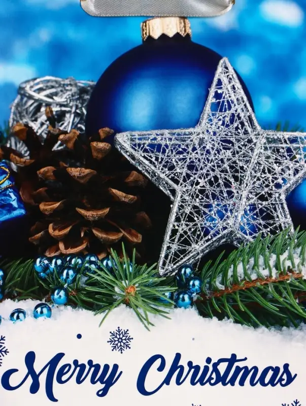 Пакет подарочный ламинированный Пакет подарочный ламинированный "Рождество", 18 х 23 х 10 см