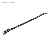Ошейник плетёный, 42&times;2 см, ОШ 35-45 см, кожа, цвет МИКС