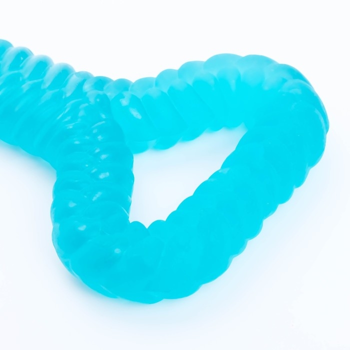 Игрушка для собак Игрушка для собак "Большая кость", светящаяся в темноте, массажная,32 х 11, синяя