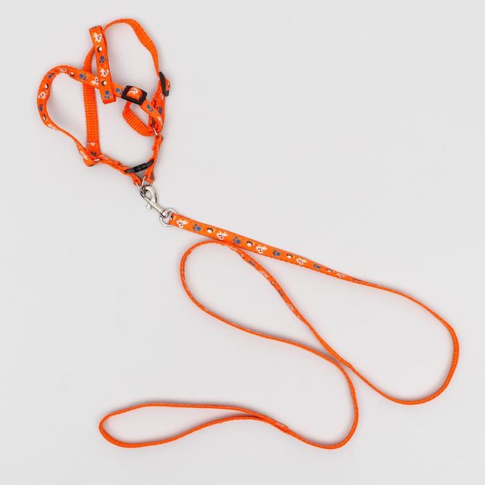 Комплект амуниции Комплект амуниции "Собачки", поводок 120 х 1 см, ОГ 27-42 см, оранжевый
