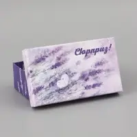 Набор коробок 10 в 1 &laquo;В твой праздник&raquo;, 32.5&times;20&times;12.5 - 12&times;6.5&times;4 см