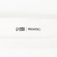 Блюдо Magistro &laquo;Рыбка&raquo;, 35&times;7.5&times;2.5 см, фарфор, белое