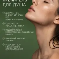 Гель - крем для душа парфюмированный DREAM NATURE sylria, 330 мл