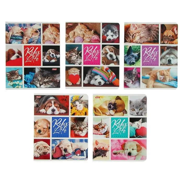 Тетрадь 24 листа в клетку, Relax Life, обложка мелованный картон, МИКС Тетрадь 24 листа в клетку, Relax Life, обложка мелованный картон, МИКС