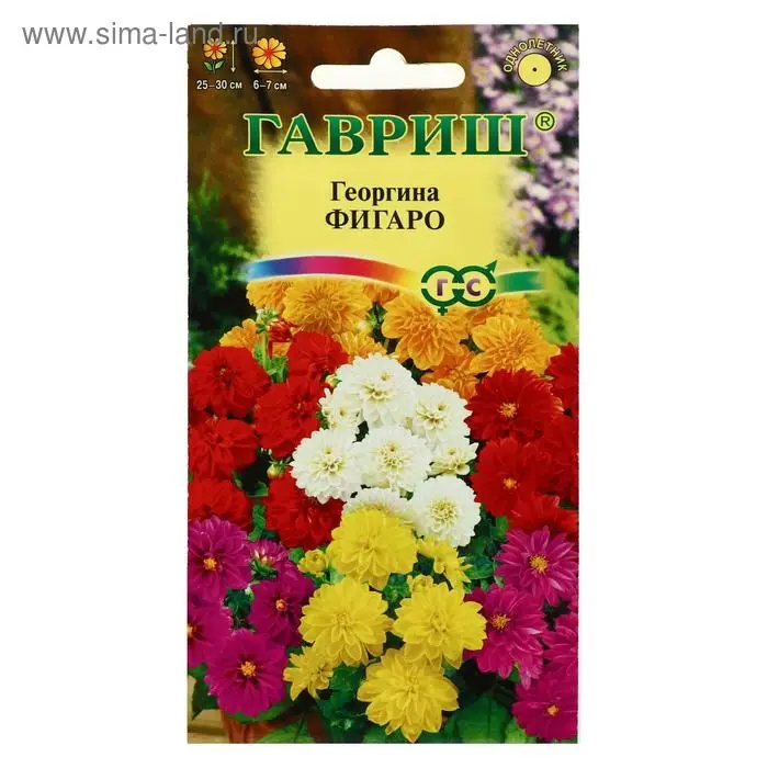 Семена цветов Георгина  Семена цветов Георгина "Фигаро", ц/п,  7 шт