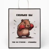Пакет подарочный бумажный, &laquo;Сколько бы тебе не стукнуло - отбивайся&raquo;, 24&times;10.5&times;32 см