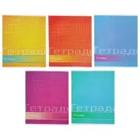 Тетрадь 48 листов в линейку Calligrata «Цвет и графика», обложка мелованная бумага, блок №2, белизна 75% (серые листы), МИКС