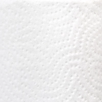 Бумага туалетная JOYeco 2сл натур бел вторич втул 25м 24рул/уп