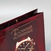 Пакет подарочный ламинированный, упаковка, «Успех», ML, 25 х 21 х 8 см