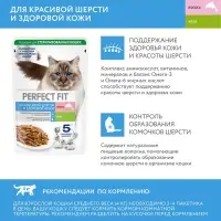 Влажный корм для кошек Perfect Fit "Красивая шерсть, здоровая кожа", 75 г, лосось, пауч Влажный корм для кошек Perfect Fit "Красивая шерсть, здоровая кожа", 75 г, лосось, пауч