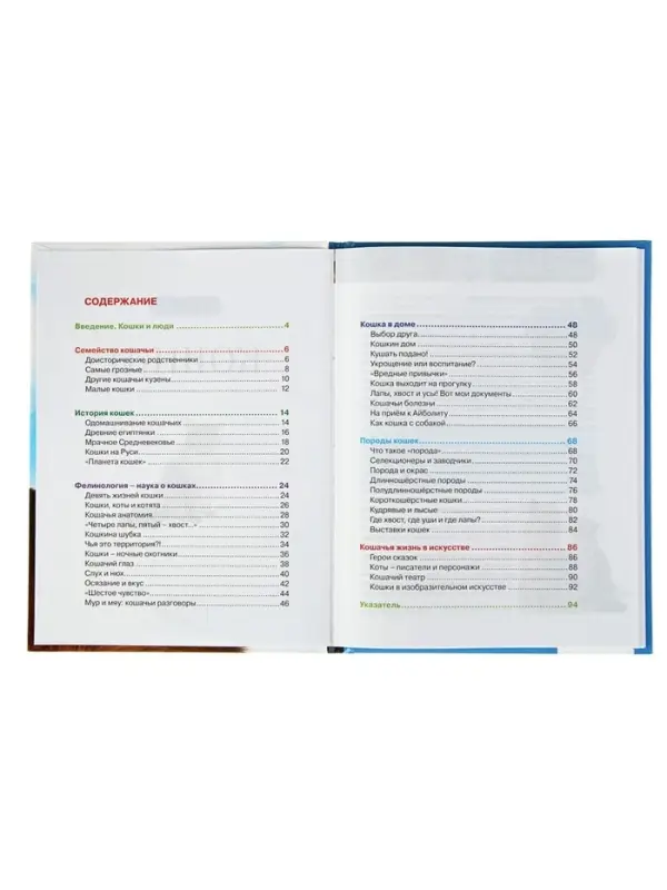 Детская энциклопедия &laquo;Кошки&raquo;