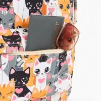 Рюкзак школьный &laquo;Котики&raquo;, с пеналом, 29&times;12&times;41 см, разноцветный