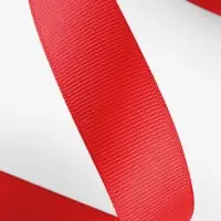 Лента репсовая, 25 мм, 23&plusmn;1 м, тёмно-красная №33