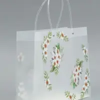 Пакет подарочный прозрачный , "Самой лучшей" 30 х 26 х 12